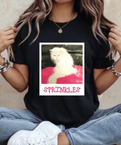 Angela Martin waering Sprinkles cat The Office sitcom_Ladies T-Shirt