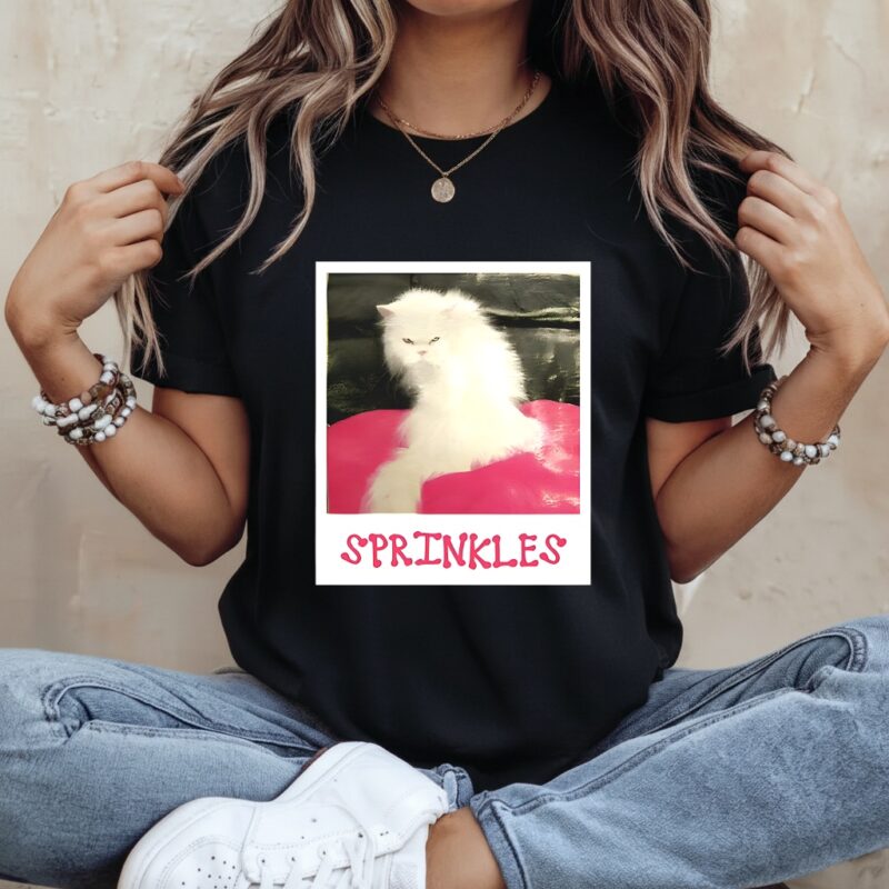 Angela Martin waering Sprinkles cat The Office sitcom_Ladies T-Shirt