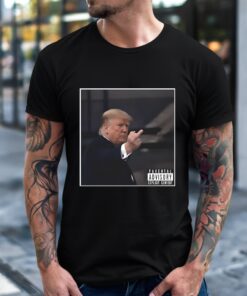 Donald Trump middle finger image meme_T-Shirt